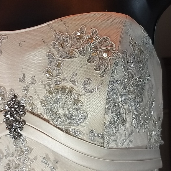 Exquisitely detailed one of a kind gown. - Picture 3 of 12